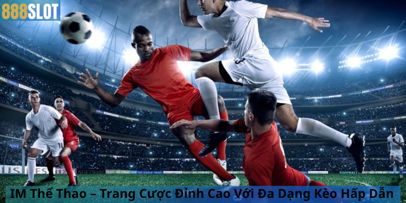 IM Thể Thao – Trang Cược Đỉnh Cao Với Đa Dạng Kèo Hấp Dẫn