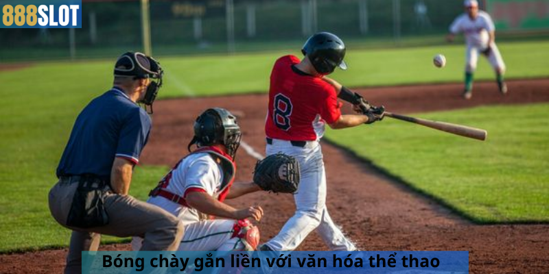 Bóng chày gắn liền với văn hóa thể thao 