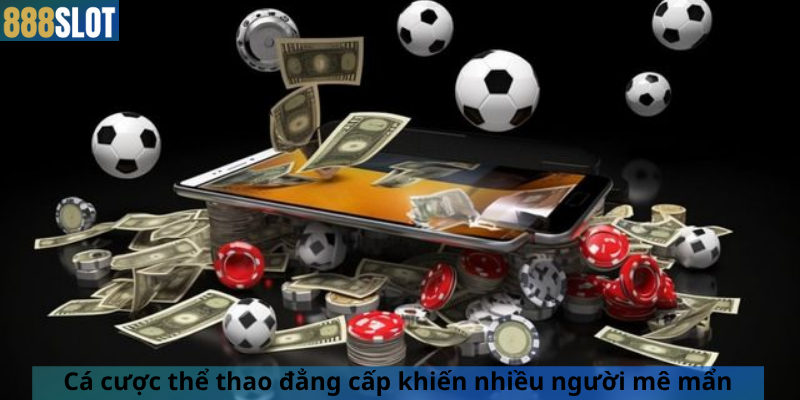Cá cược thể thao đẳng cấp khiến nhiều người mê mẩn