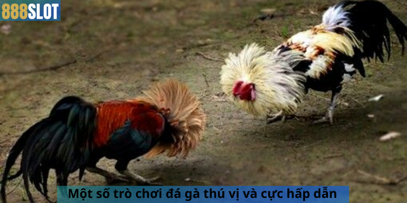 Một số trò chơi đá gà thú vị và cực hấp dẫn